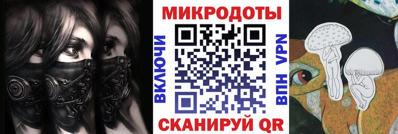 купить   Шахунья  Псилоцибиновые грибы MAGIC MUSHROOMS 