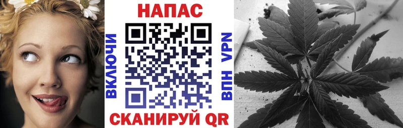 закладки  Шахунья  Конопля AK-47 